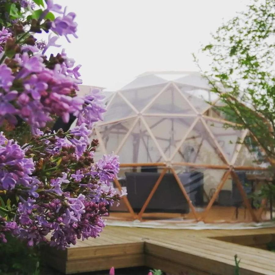 Le Dome Aux Oiseaux Hotel Berig-Vintrange ภายนอก รูปภาพ